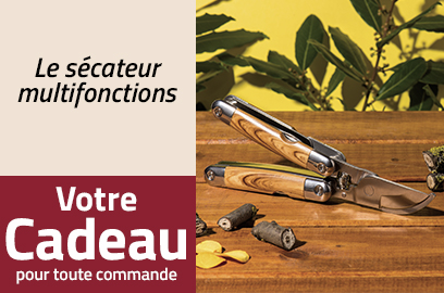 Cadeau toute commande